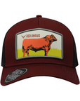 GORROS R&C RED ANGUS