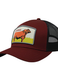 GORROS R&C RED ANGUS