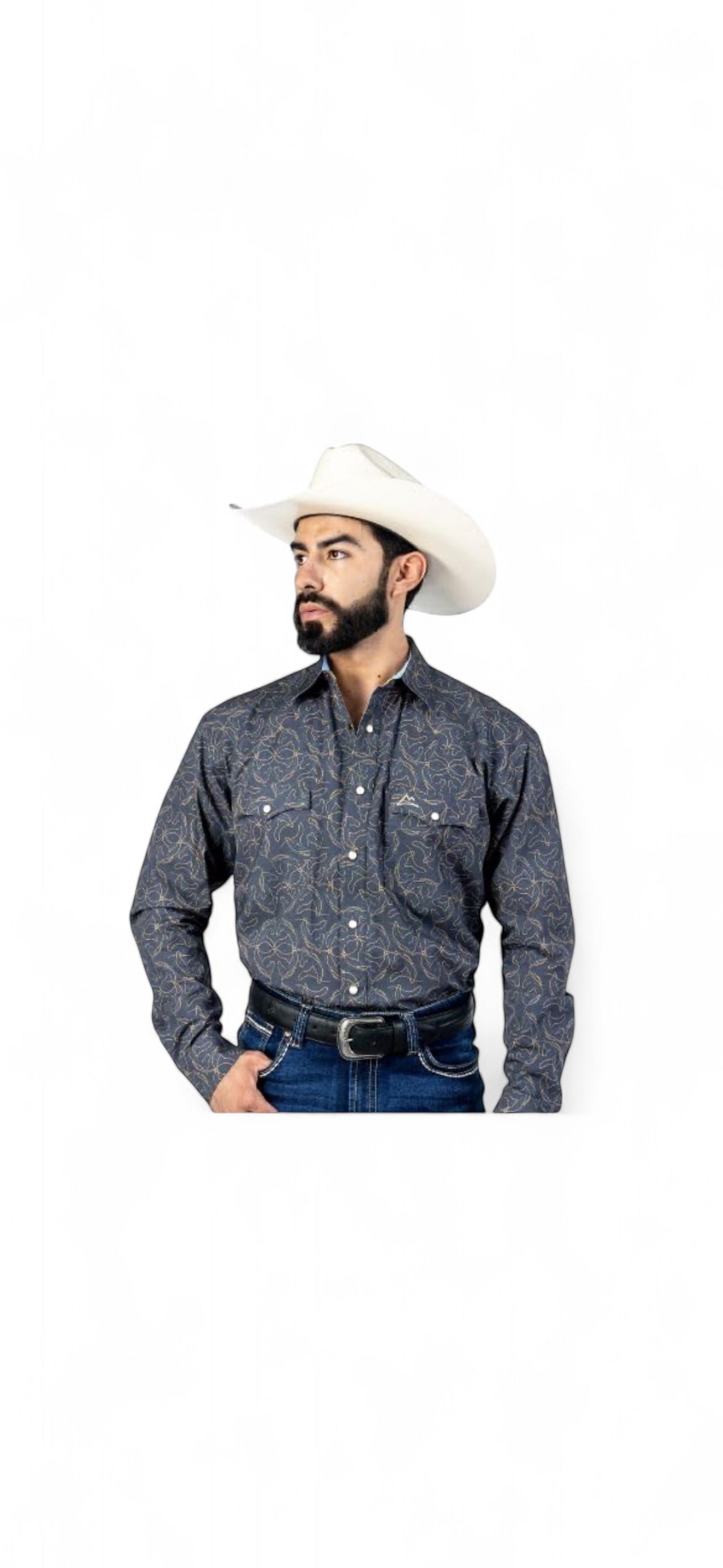 CA CAMISA DENVER CHH200 SILUTEA CABALLOS