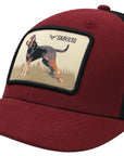 GORROS R&C RAZAS DE PERROS