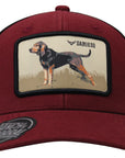 GORROS R&C RAZAS DE PERROS