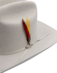 TEXANA STETSON 6X RANCHER PLATA