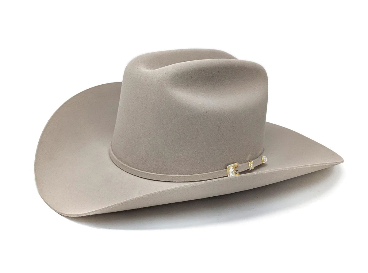 TEXANA STETSON 6X PLATA GUADALUPE