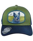 GORROS R&C BLUE HEELER