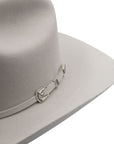 TEXANA STETSON 6X SKYLINE PLATA