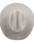 TEXANA STETSON 6X SKYLINE PLATA