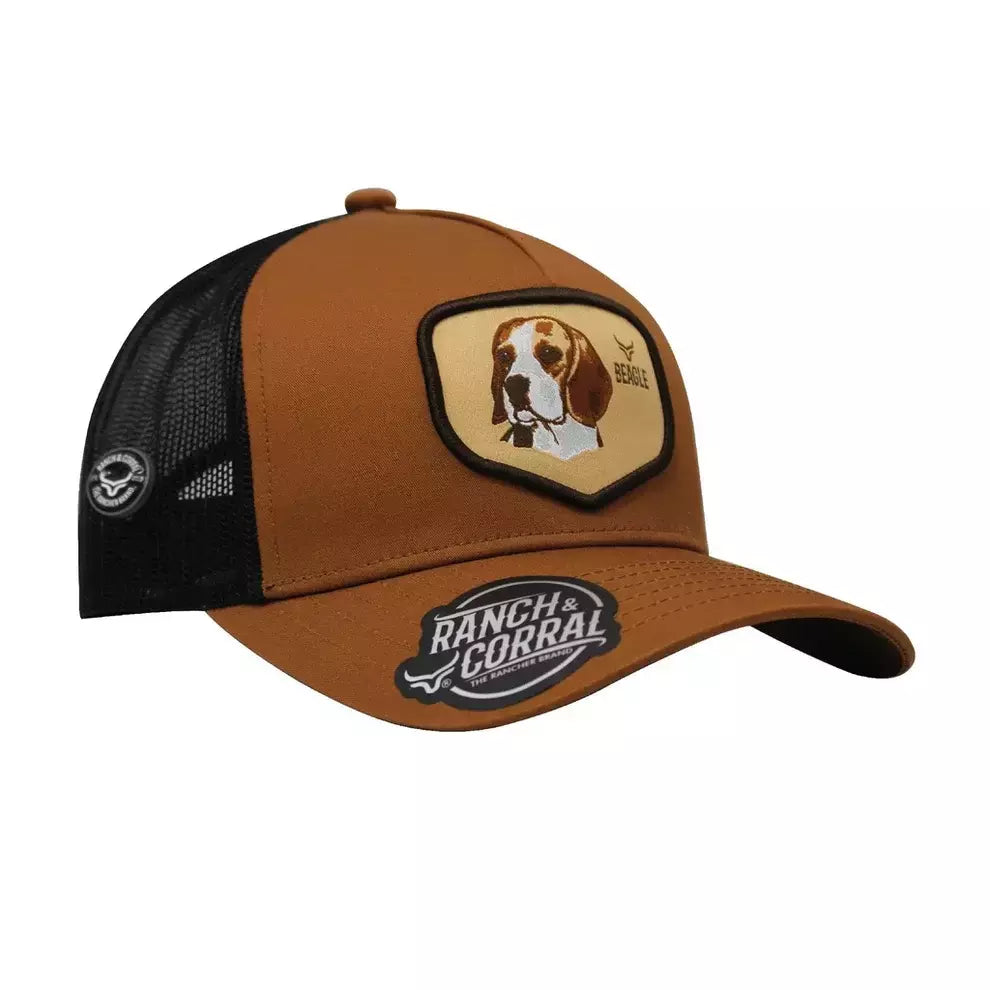 GORROS R&C BEAGLE 01
