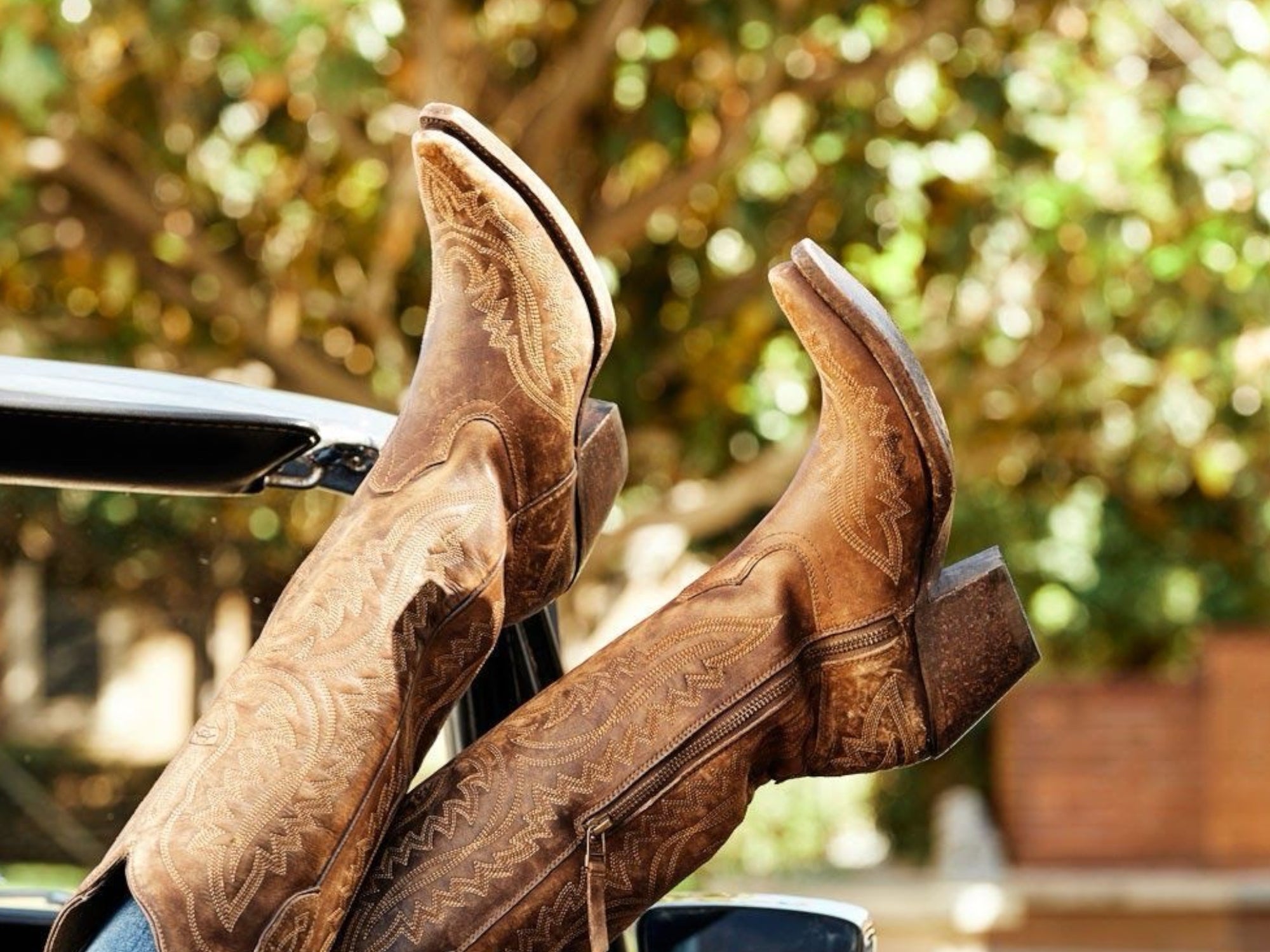 BOTAS