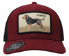 HATS R&C DOG BREEDS