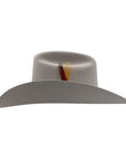 TEXANA STETSON 6X RANCHER SILVER