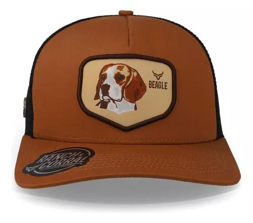 HATS R&C BEAGLE 01