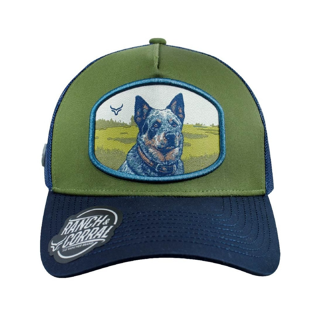 HATS R&C BLUE HEELER