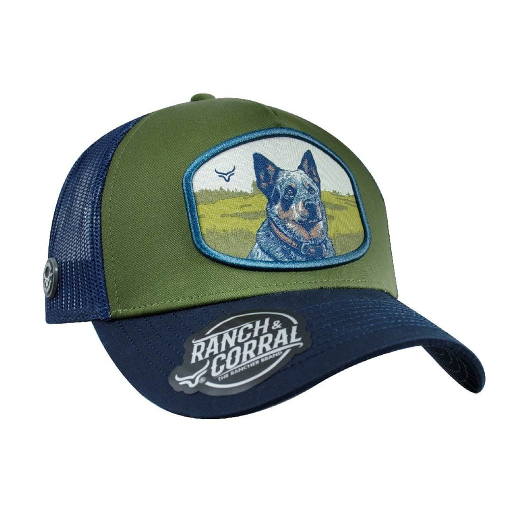 HATS R&C BLUE HEELER