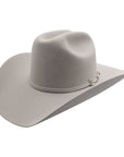 TEXANA STETSON 6X SKYLINE SILVER